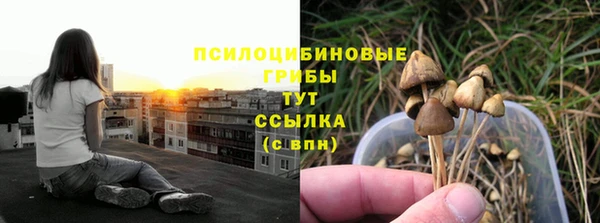 прущие крисы Нефтегорск