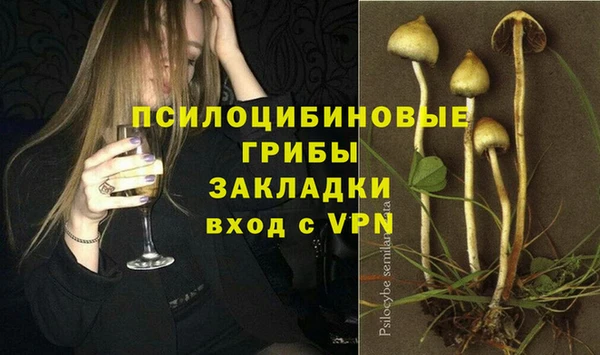 прущие крисы Нефтегорск
