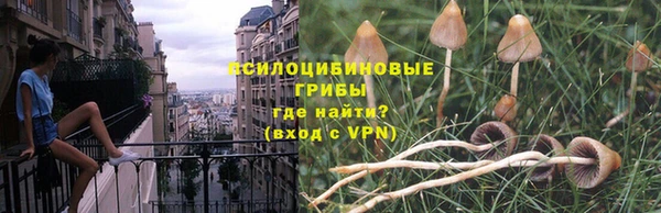прущие крисы Нефтегорск