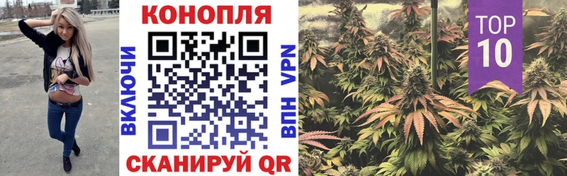 Шишки марихуана конопля  как найти   Гаджиево 